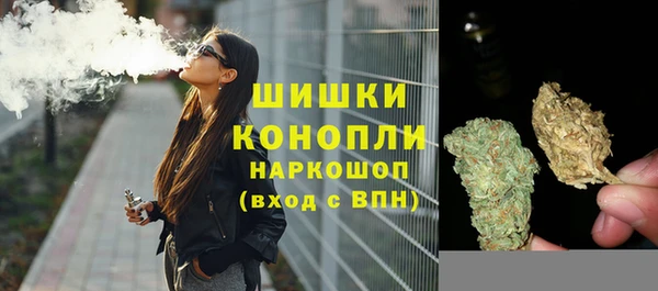 соль ск Надым