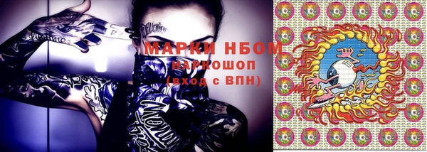 соль ск Надым