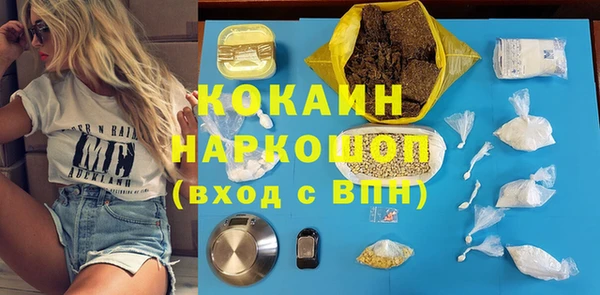 соль ск Надым