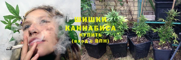 соль ск Надым