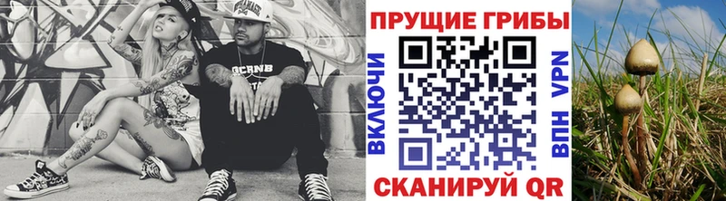 Псилоцибиновые грибы мицелий  Купить  Можайск 