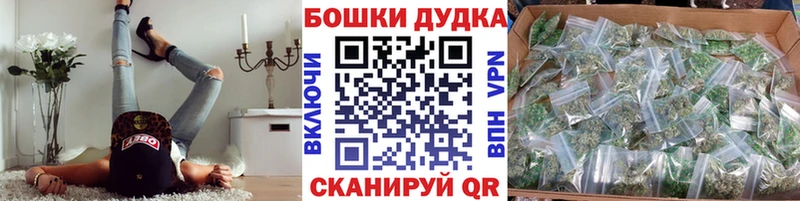 Купить где  Можайск  Бошки марихуана индика 